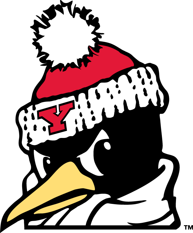 Youngstown State Penguins 1993-Pres Alternate Logo v6 iron on transfers for fabric